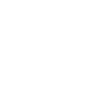 Transporta nelaimes gadījumu un incidentu izmeklēšanas birojs